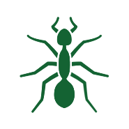 rectrict-bug