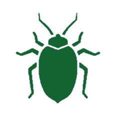 rectrict-bug