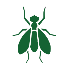 rectrict-bug