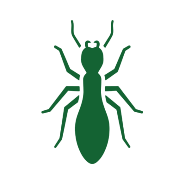 rectrict-bug